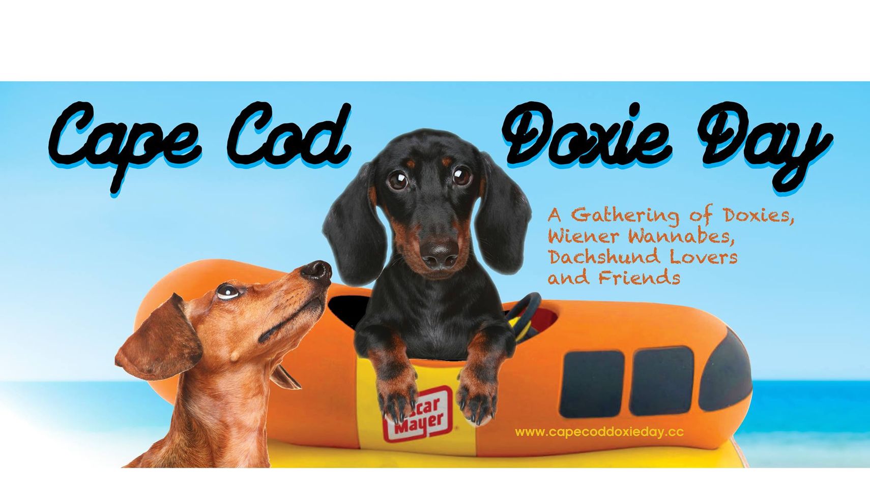 Cape Cod Doxie Day